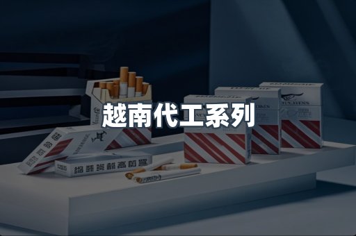 越南代工系列